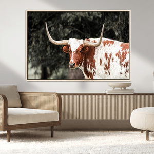 Texas Longhorn Wall Art Canvas Print – Framed Spotted Bull