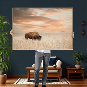 MyCanvas -