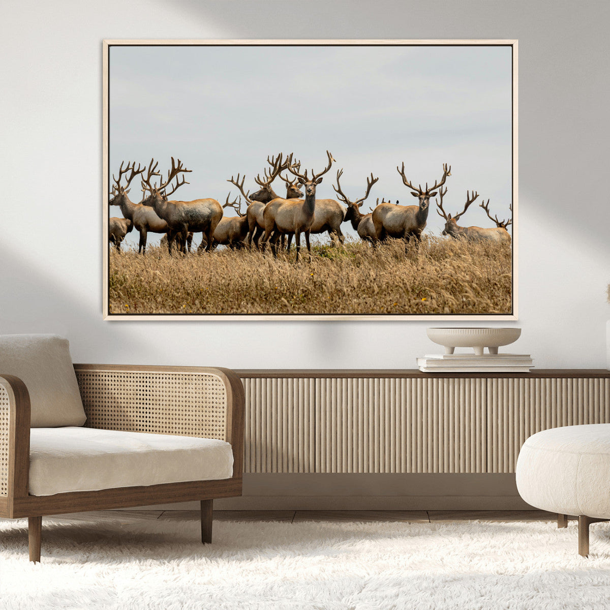 Elk Herd Wall Art Canvas Print – Framed Wildlife Photography