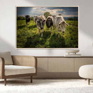 Grazing Cattle Herd Pasture Green Field Livestock Natural
