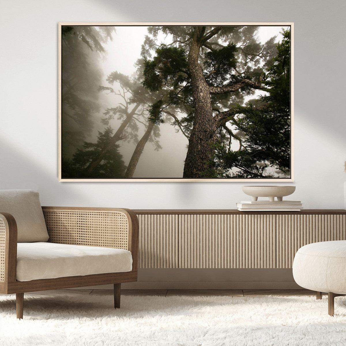 Misty Forest Canvas, Tall Trees Foggy Atmosphere Nature
