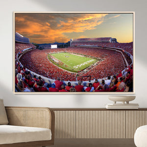 Dooley Stadium Wall Art, Sports Arena Canvas Print, Dooley