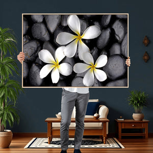 Plumeria Frangipani Black Stone Canvas | White Flower Spa