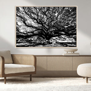 Mighty Angel Oak Wall Art | Angel Oak Tree Art Print