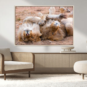 Lion Pair Wall Art Canvas Print – Framed Wildlife Scene with