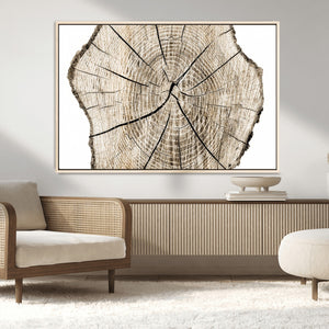 Abstract Wood Tree Ring Wall Art - Ready to Hang Minimalist