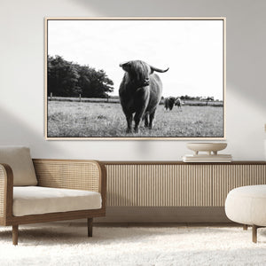 Black and White Highland Cow Wall Art Canvas Print | Rustic