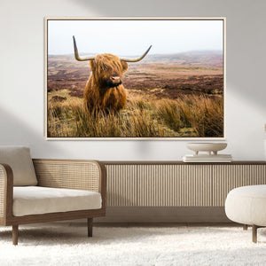 Scottish Highland Cow Canvas Wall Art – Rustic Farmhouse