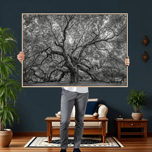 Majestic Angel Oak Tree Black and White Canvas Print – Multi