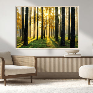 Sunlit Forest Wall Art Canvas Print – Large Framed Woodland