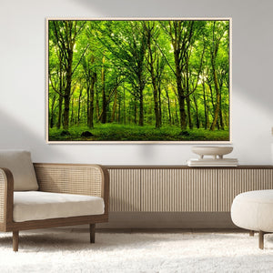 Lush Green Forest Canvas Print | 3-Panel Forest Wall Art |