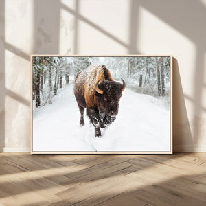 Bison Wall Art Canvas Print For Farmhouse, Animal Canvas