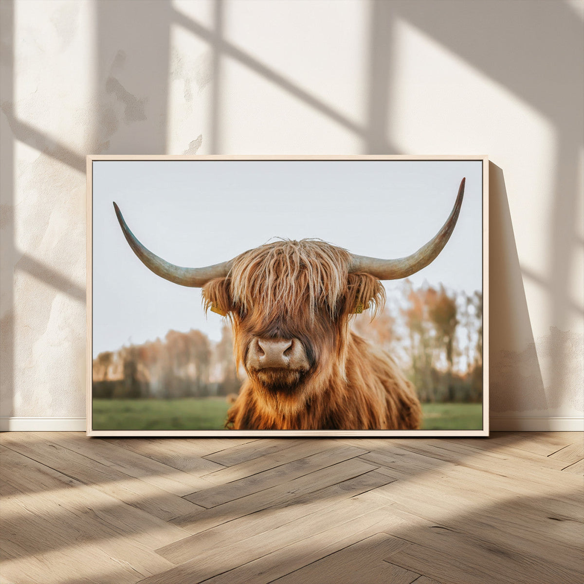 Highland Cow Animal Scottish Cattle Art Print Farmhouse Wall