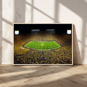 Stadium in Michigan Wall Art Canvas Print, Framed American