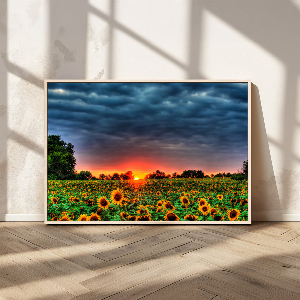 Golden Sunflower Field at Sunset – Breathtaking Sky and