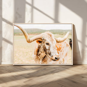 Texas Longhorn Wall Art Canvas Print – Framed Spotted Cow