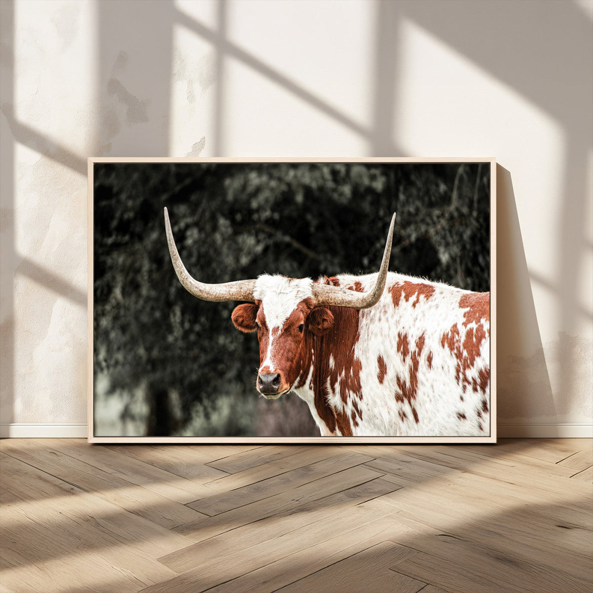 Texas Longhorn Wall Art Canvas Print – Framed Spotted Bull