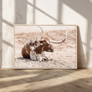 Texas Longhorn Wall Art Canvas Print – Framed Resting Bull
