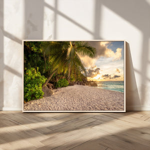 Tropical beach sunset, palm trees, white sand, ocean waves,