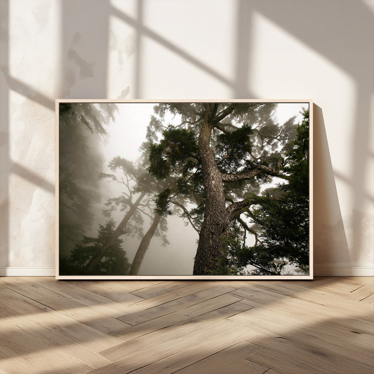 Misty Forest Wall Art Canvas Print, Tall Trees and Foggy