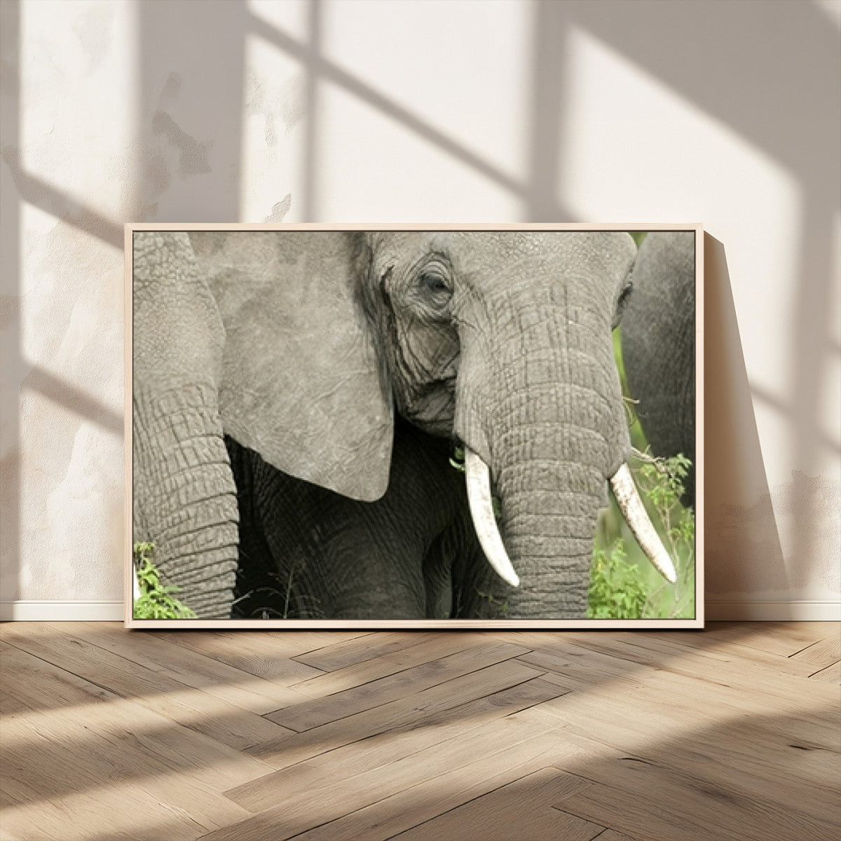 Wild Elephant Wall Art Canvas Print