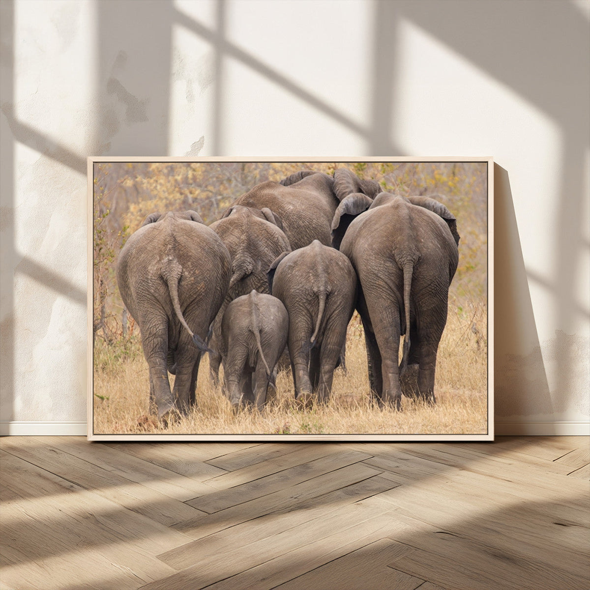 Wild Elephant Wall Art Canvas Print