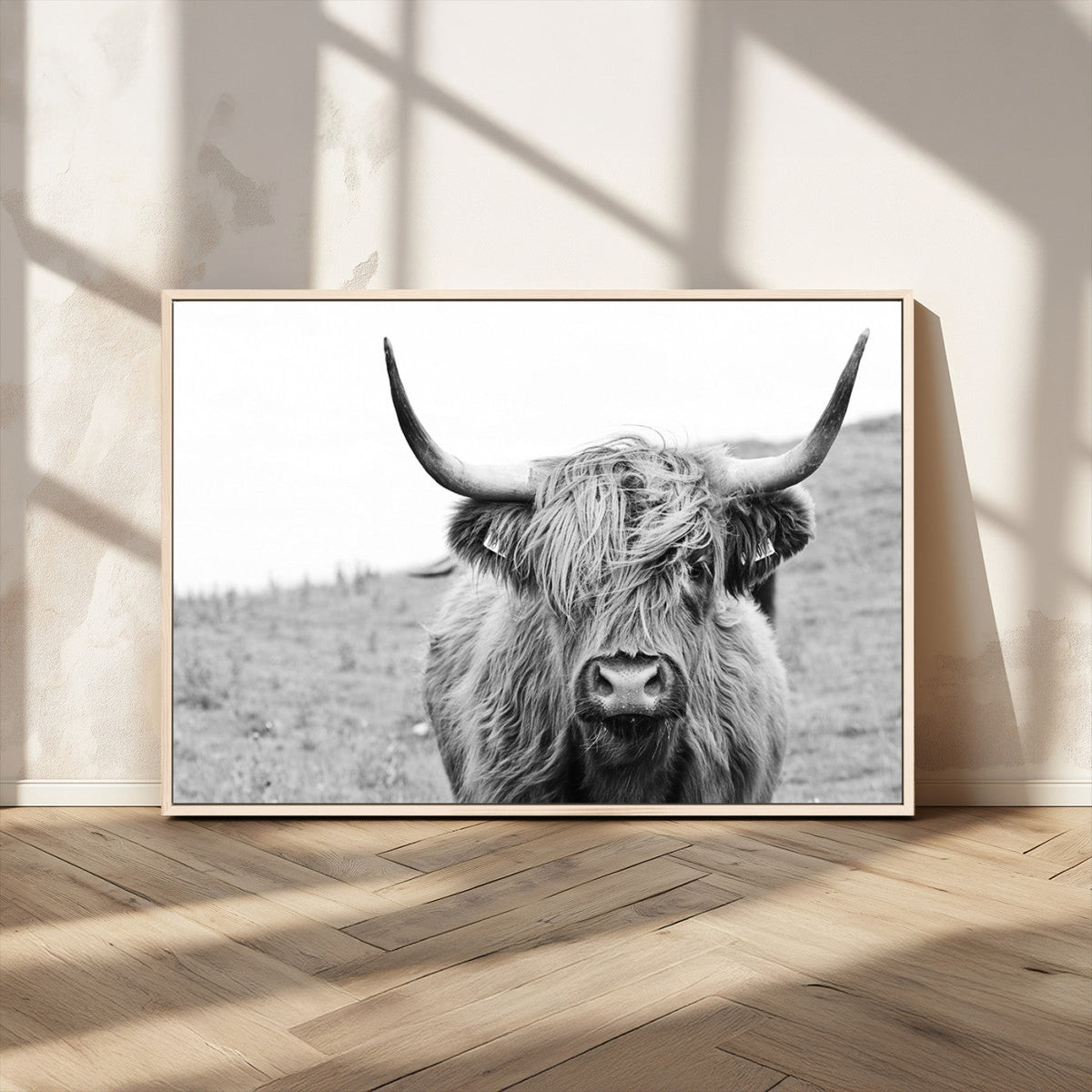 Newfoundland Cow Art Wall Art, Black White Cow Art Wall Art