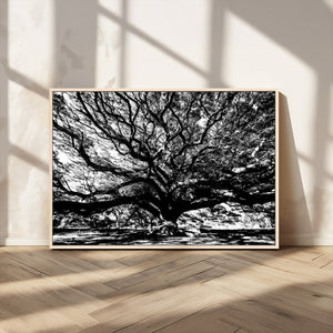 Mighty Angel Oak Wall Art | Angel Oak Tree Art Print