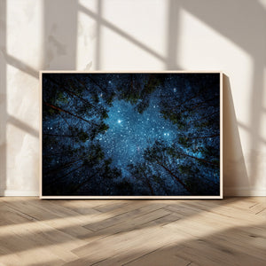 Forest and Stars Wall Art Canvas Print