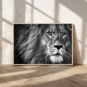 Black and White Lion Canvas Wall Art Print – Wildlife