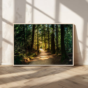 Sunlit Forest Pathway Canvas Print | 3 Panel Large Nature