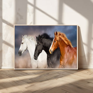 Animal Wall Art Three Horses Farmhouse Art Canvas, Framed
