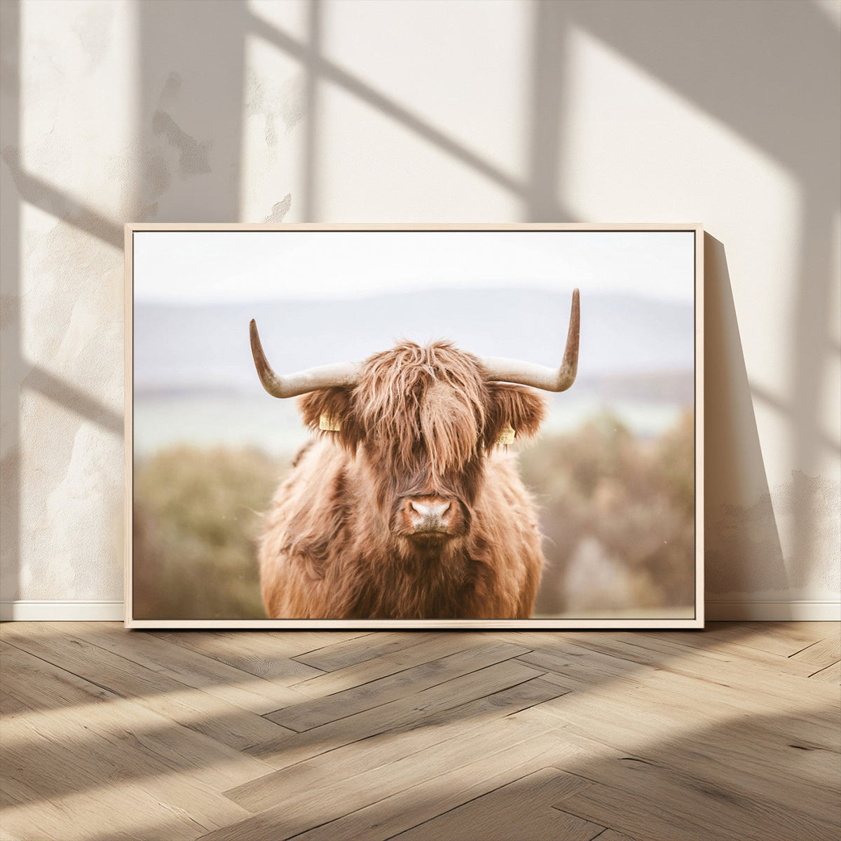 Scottish Serene Highland Cow Canvas Wall Art – Serene