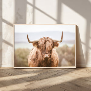 Scottish Serene Highland Cow Canvas Wall Art – Serene