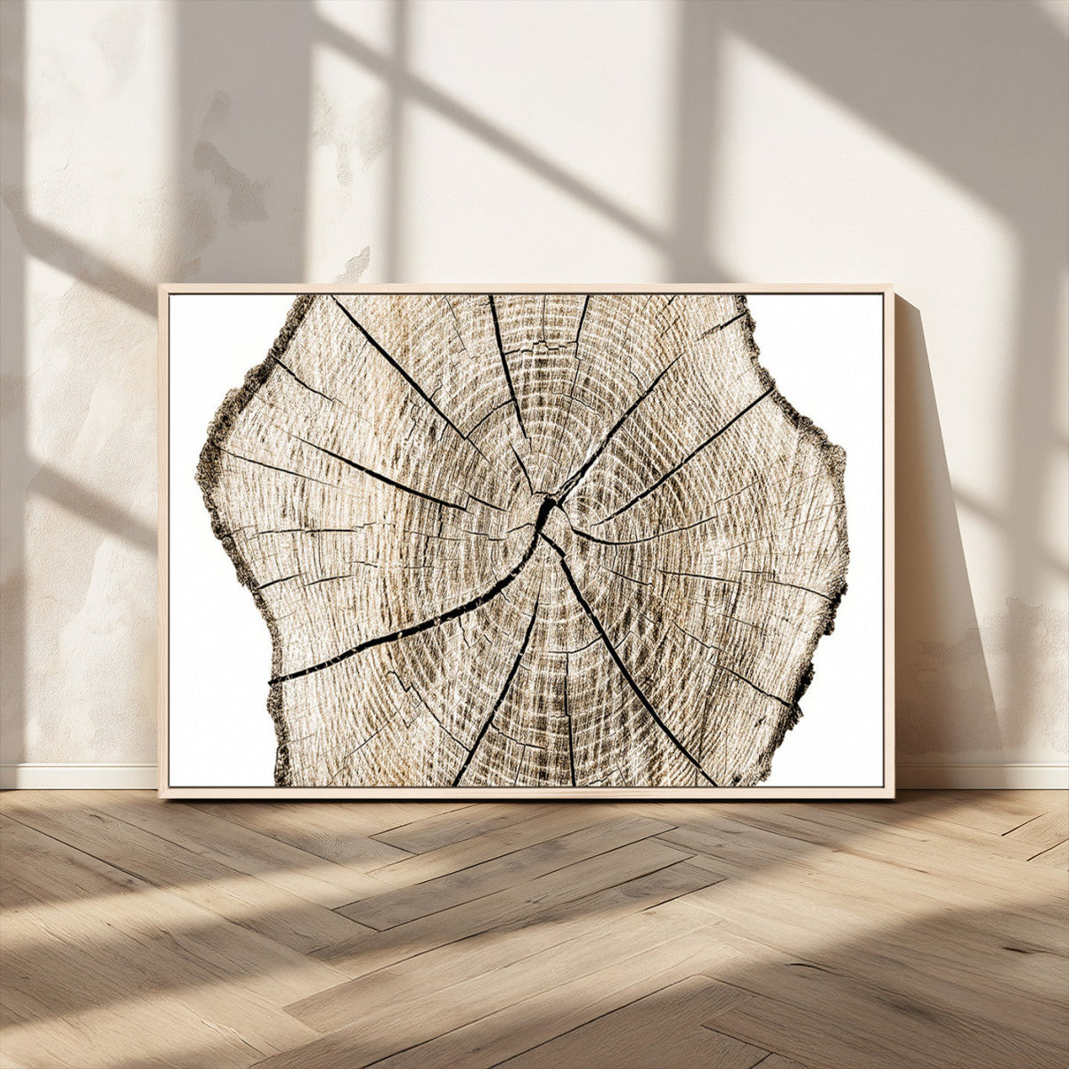 Abstract Wood Tree Ring Wall Art - Ready to Hang Minimalist