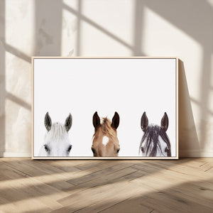 Horse Prints Set, Set of 3 Horse Wall Art, Horses Portraits,