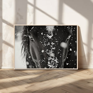 Winter Horse Snow Wall Art Canvas Print