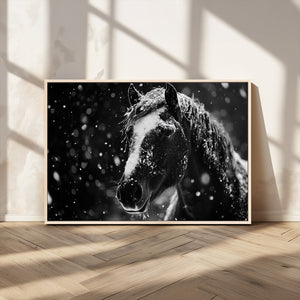 Winter Horse Wall Art | Black and White Horse Print | Ready
