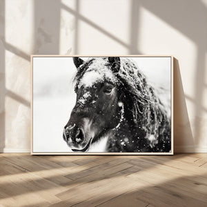 Framed Black and White Horse Wall Art | Ready to Hang and