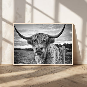 Scottish Highland Cow Wall Art Canvas Print | Ready to Hang
