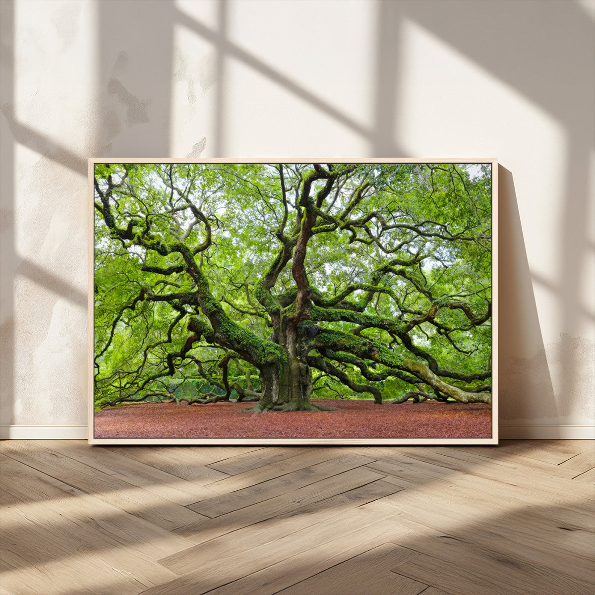 Framed Angel Oak Tree Wall Art - 3-Panel Canvas Prints,