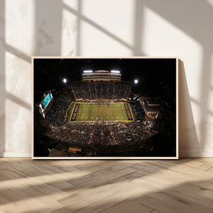 Wake Forest University Demon Deacons Canvas Printi, Football