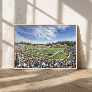 University of Charlotte 49ers Football Team Print -