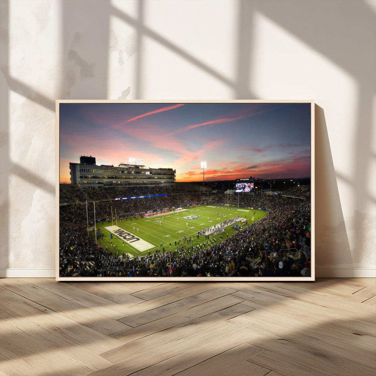 The University of Connecticut UCONN Huskies Football Team