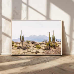 Arizona Desert Wall Art Print | Arizona Desert Canvas Print
