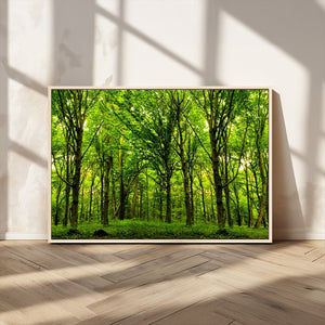 Lush Green Forest Canvas Print | 3-Panel Forest Wall Art |