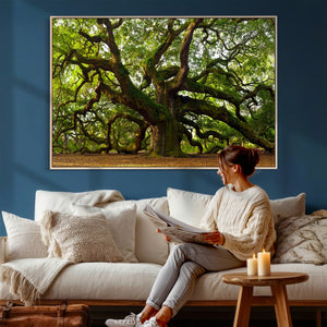 Angel Oak Tree Wall Art Canvas Print | Forest Tree Nature