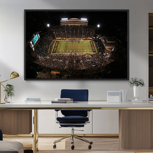 Wake Forest University Demon Deacons Canvas Printi, Football