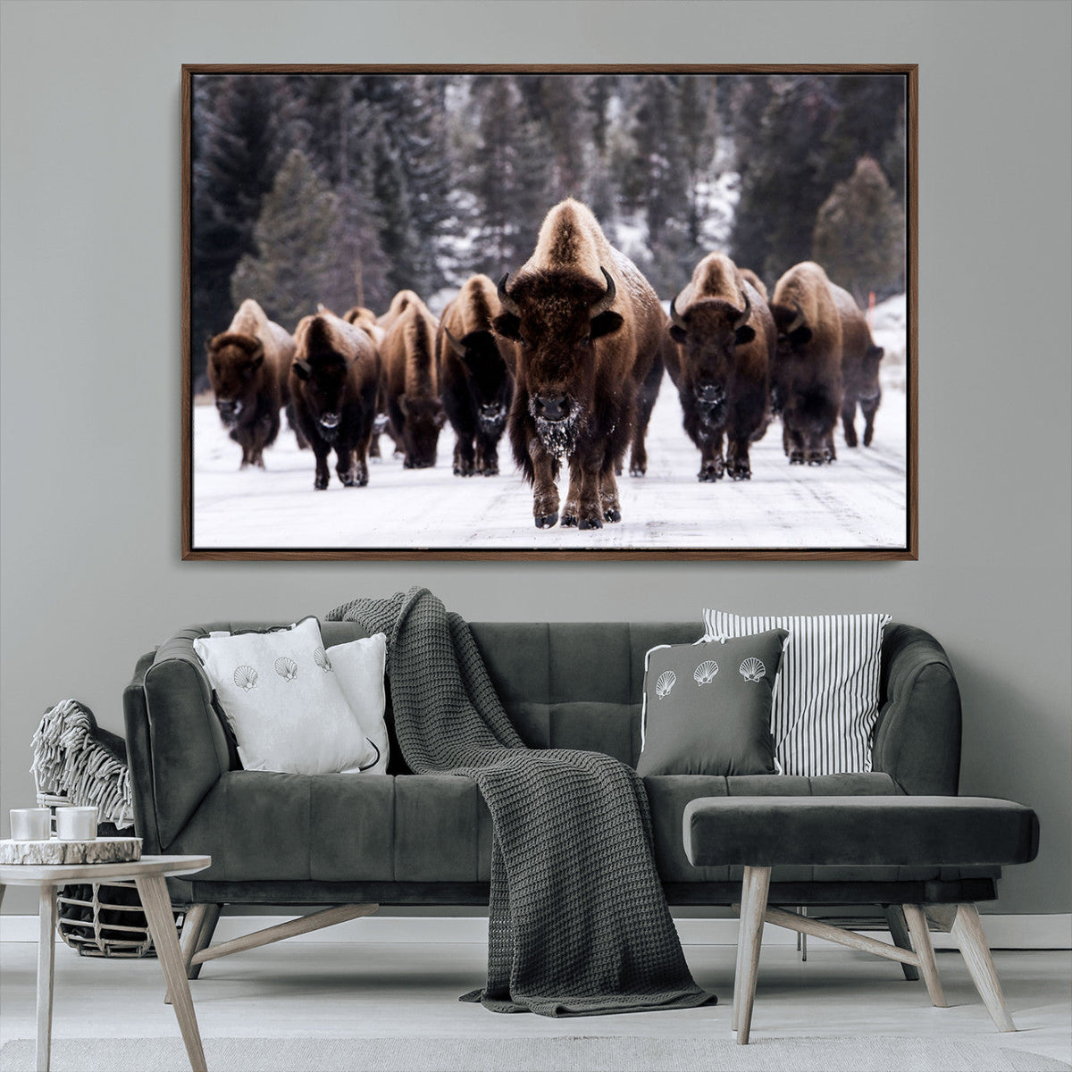 Bison Wall Art Canvas Print- Bison Herd Canvas Wall Art –