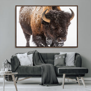 Bison Wall Art Canvas Print For Farmhouse, Wild Animal Wall